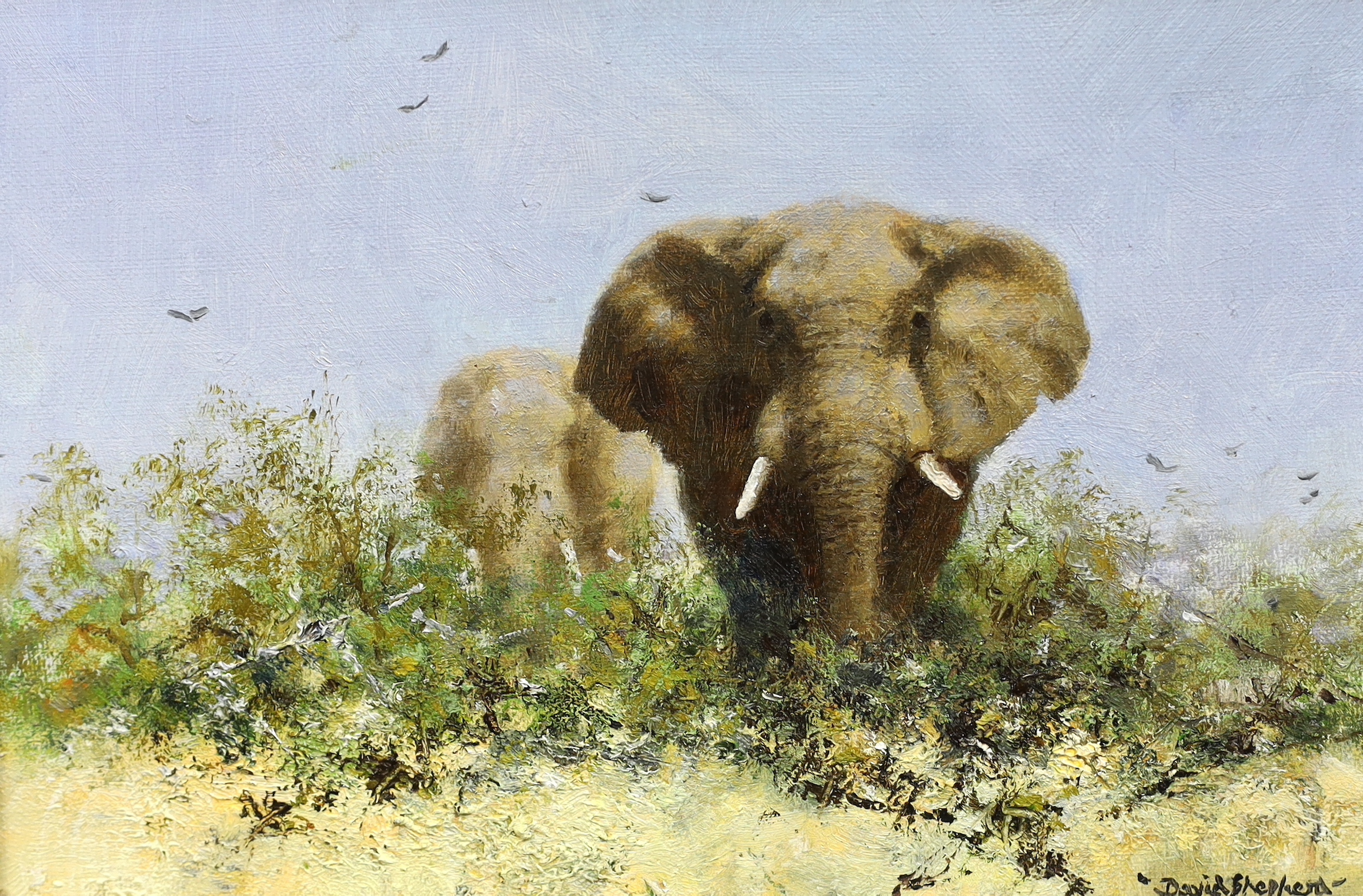 David Shepherd (British, 1931-2017), 'Elephant', oil on canvas, 16 x 23cm